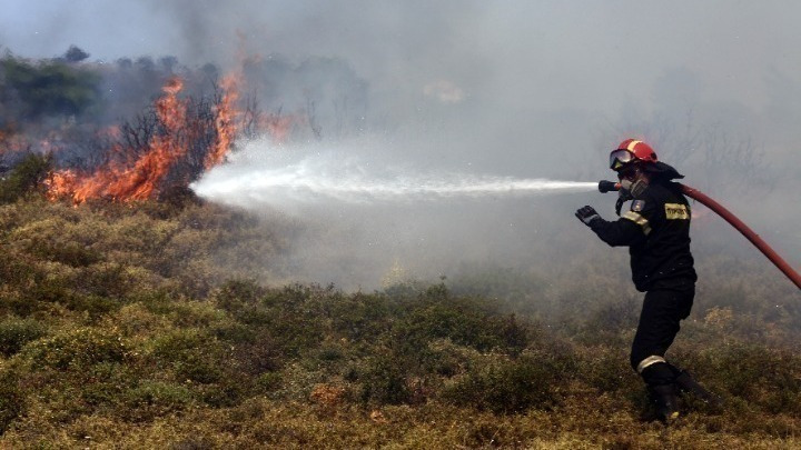 Πυρκαγιά στην περιοχή Πάνακτο Δερβενοχωρίων Βοιωτίας