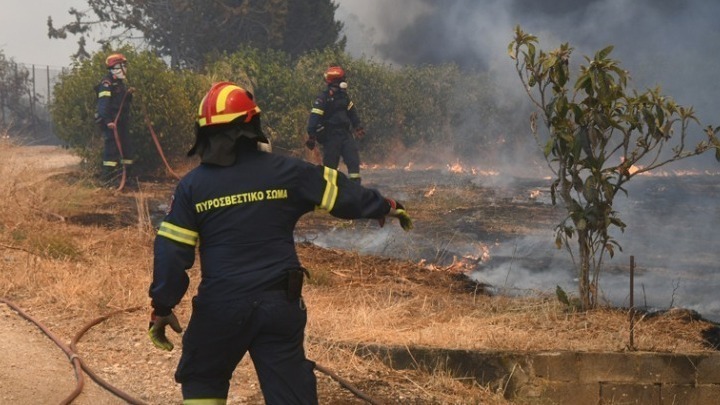 Πυρκαγιά στα Αμπελάκια Σαλαμίνας: Ισχυρές δυνάμεις της Πυροσβεστικής στο σημείο