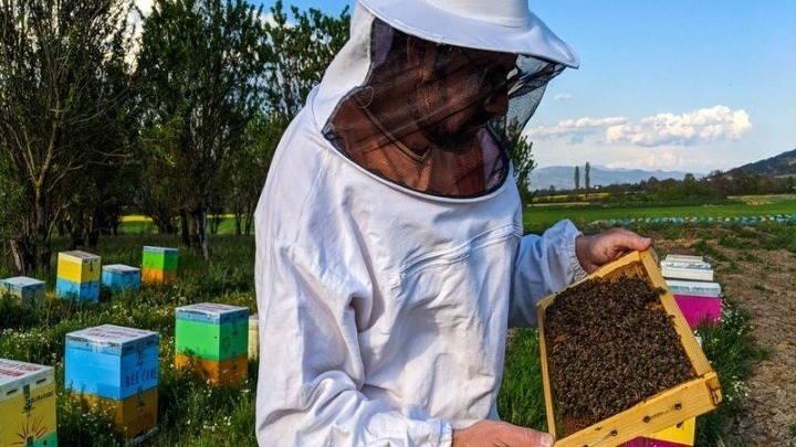 Υποχρεωτική υποβολή δήλωσης κατεχόμενων κυψελών για τους μελισσοκόμους