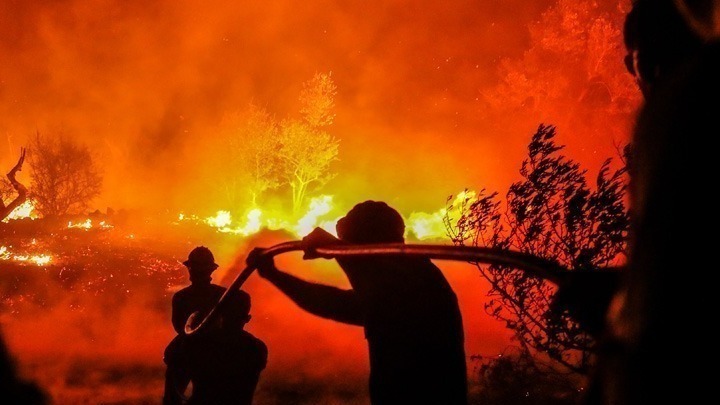 Τραγωδία στην Ισπανία: 66χρονος έχασε τη ζωή του σε δασική πυρκαγιά