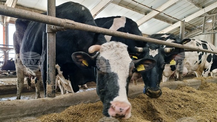 Αύξηση Βιολογικών Καλλιεργειών στη Βουλγαρία