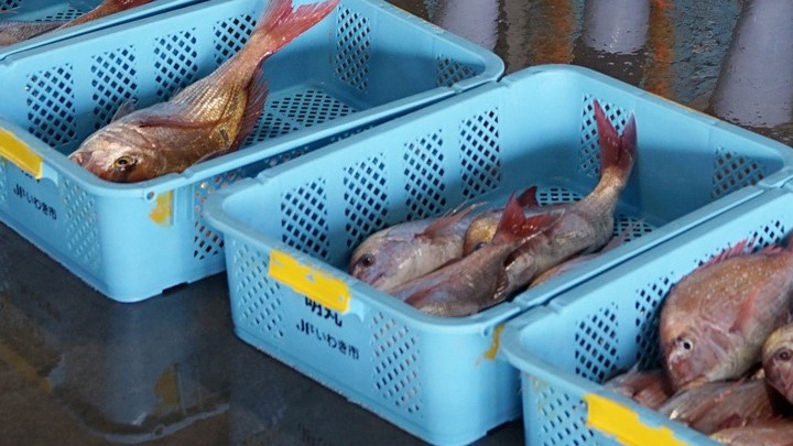 Κίνα: Αναστολή εισαγωγών ιαπωνικών θαλασσινών λόγω διπλωματικής κρίσης