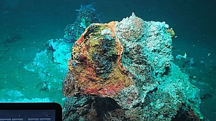 Ανακάλυψη εκτεταμένων υδροθερμικών πεδίων στη Μήλο