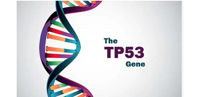 Αποκάλυψη για δότη σπέρματος με γενετική μετάλλαξη που αυξάνει τον κίνδυνο καρκίνου