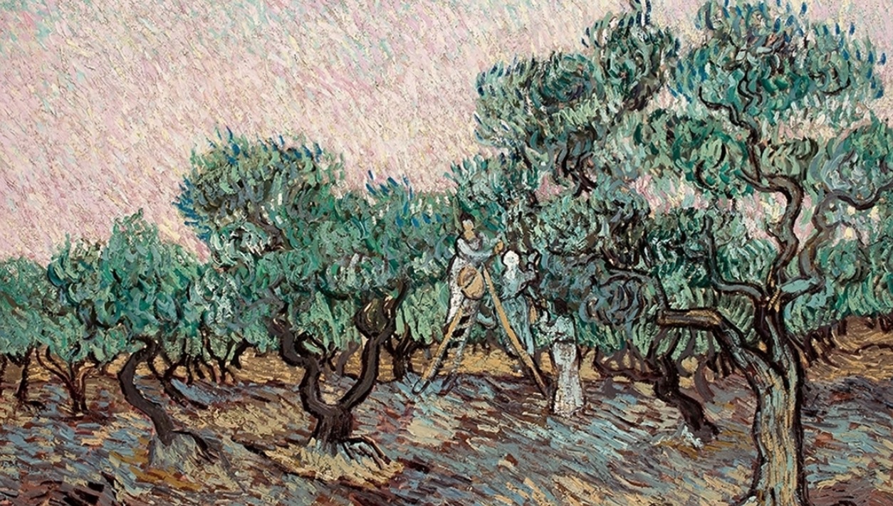 Δικαστική διαμάχη για τον πίνακα «Η συγκομιδή της ελιάς» του Βαν Γκογκ