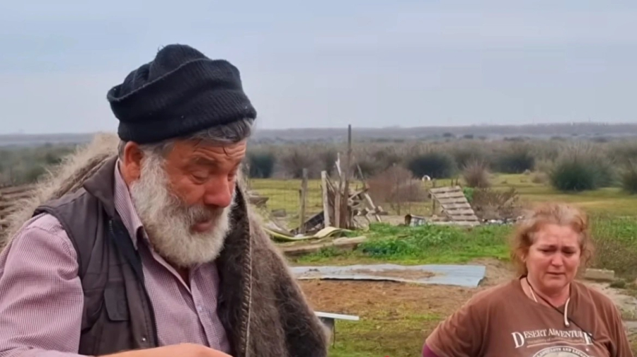 Οριστική Απόφαση για Θανάτωση Προβάτων από Κτηνοτρόφο στη Θεσσαλονίκη