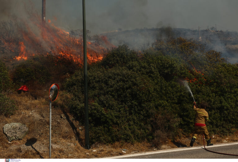 Σύλληψη 62χρονου αλλοδαπού για εμπρησμό στην Παιανία