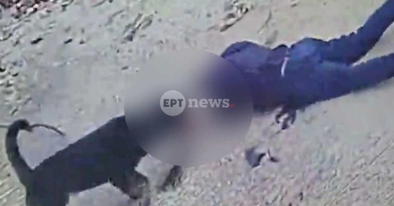 Σοκαριστική επίθεση ροτβάιλερ στην Καλαμάτα: Οι τελευταίες στιγμές πριν το περιστατικό