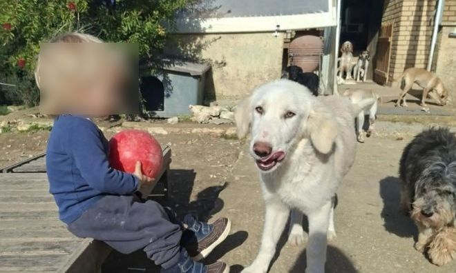 Συνεχίζονται οι έρευνες για τον θάνατο του 2χρονου Λίο στη Ζάκυνθο