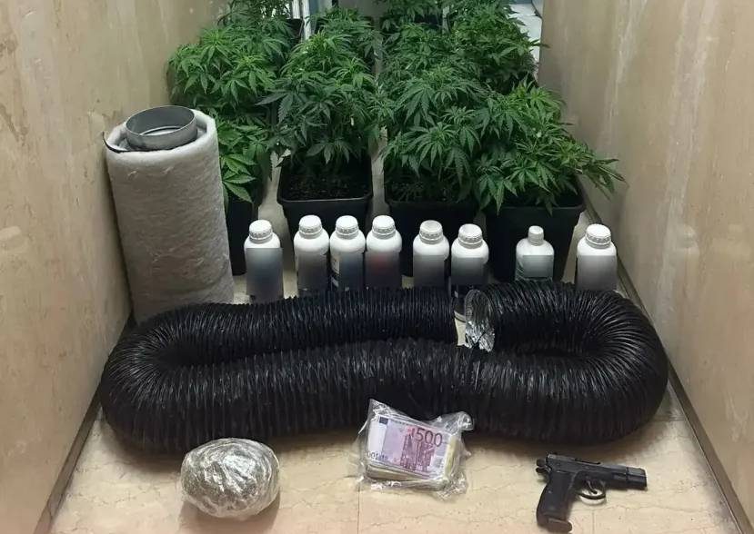 Συνομιλίες τηλεφωνικών απατών: Εμπλοκή πρώην αθλήτριας στην υπόθεση